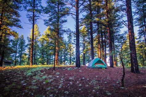 Pine Grove Campground Chincoteague Virginia: Your Coastal Escape
