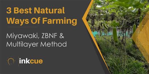 Natural Farming Methods 的图像结果