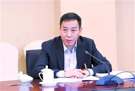 由沪入渝1年后，54岁陈鸣波已出任重庆市常务副市长，曾在上海主管科技创新 | 极目新闻