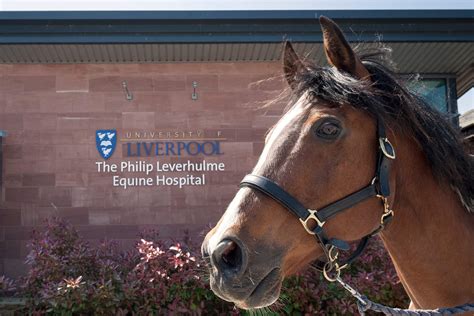 Leahurst Equine Hospital | Leahurst Equine | University of Liverpool