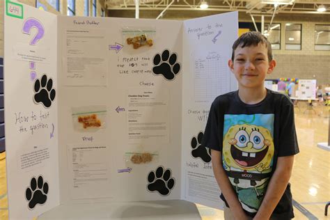 Award Winning 6th Grade Science Fair Projects