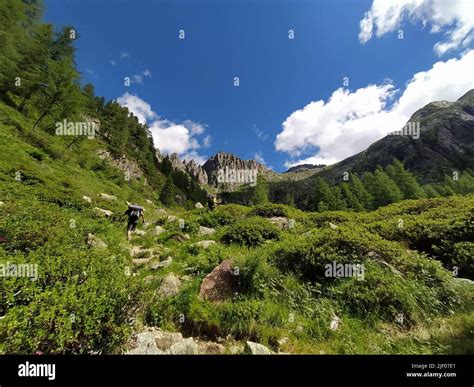Cima d’Asta is the highest mountain of the Fiemme Mountains in the ...