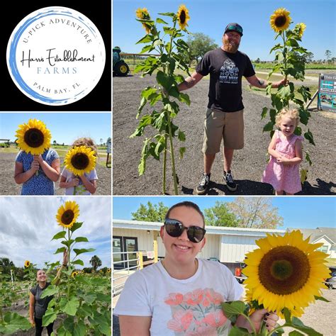 Harris Establishment Farms (Palm Bay, FL): Hours, Address - Tripadvisor