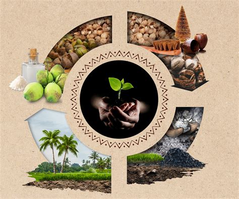 Traditional & Sustainable Farming Practices | TENGIN – TENGIN.IN