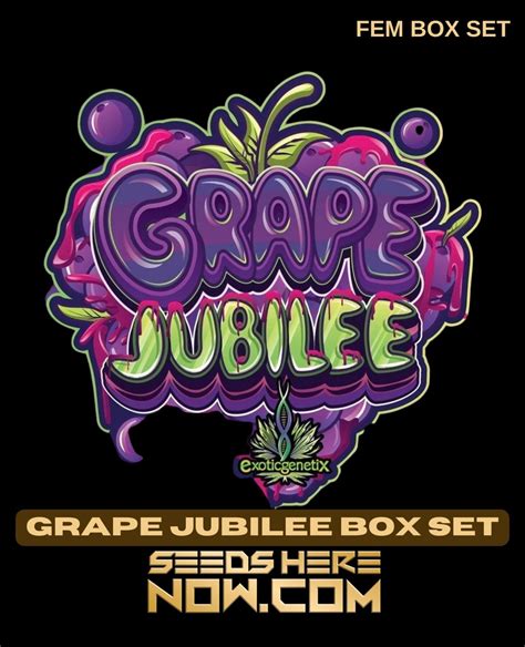 Secure Grape Jubilee Box Set Feminized Seeds -Rich Terpenes