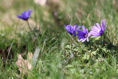 An interview with Cleveland Housing Court Judge W. Moná Scott