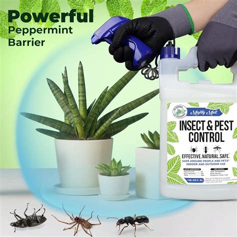 Mighty Mint Natural Peppermint Insect & Pest Control - 1 Gallon