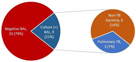 The Added Value of Bronchoalveolar Lavage for Pulmonary Tuberculosis ...