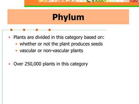 M1_1 - PLANT TAXONOMY ONLINE.pdf