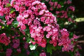 Image result for Practice Test Examples