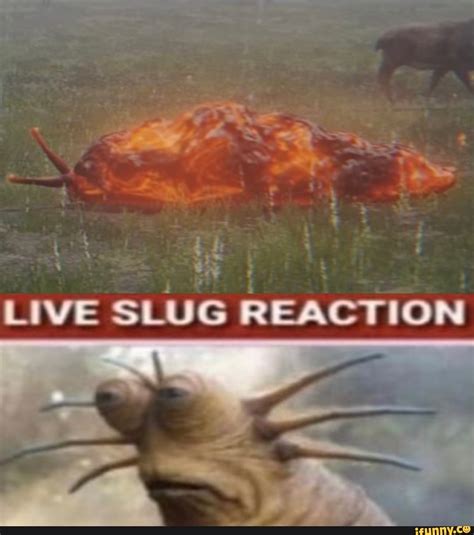 Live Slug Reaction Template - Printable Calendars AT A GLANCE