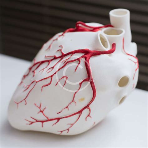 Image result for 3D Model Science Project