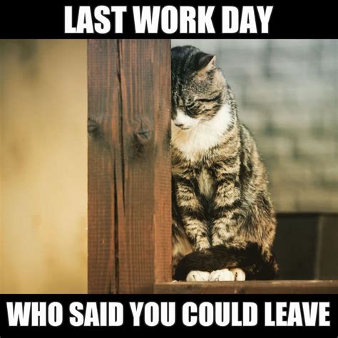 25 Memes To Celebrate Your Last Day At Work Memes Work Memes With Dumb