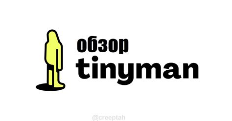 Обзор Tinyman: AMM на Algorand — Teletype