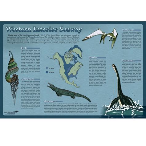 Western Interior Seaway – Poster – Media Display – Black Hills Institute