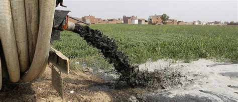 Human excreta can make good fertiliser, but prejudice and laws stand in way