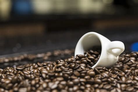 The Best Coffee You Can Make at Home – CheckIn