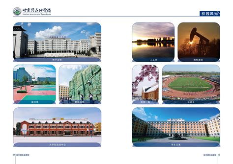 哈尔滨石油学院校内机构设置情况表-哈尔滨石油学院