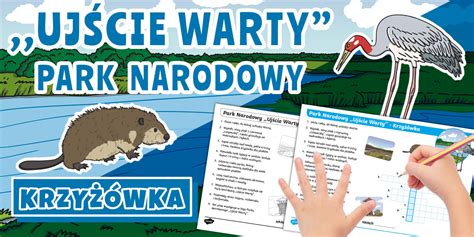 Park Narodowy ,,Ujście Warty'' | Krzyżówka | Podróże po Polsce
