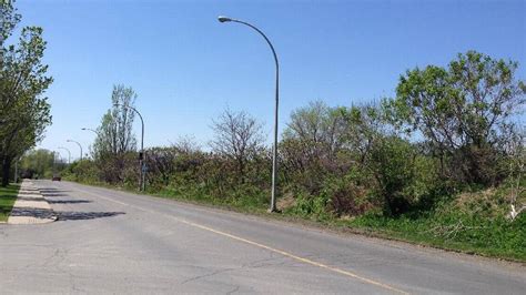 Brenda O’Farrell: A lot of effort has gone into call for a sound wall ...