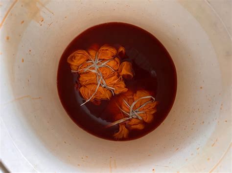 How Flipkart can make millions of people grow plants – 21 Fools