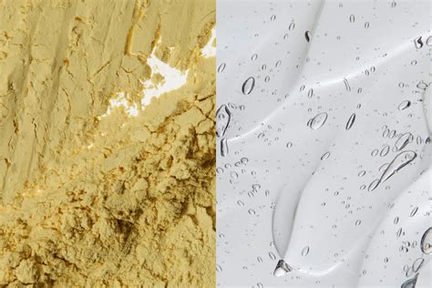 How to get rid of zombie cells for longevity - Timeline Longevity