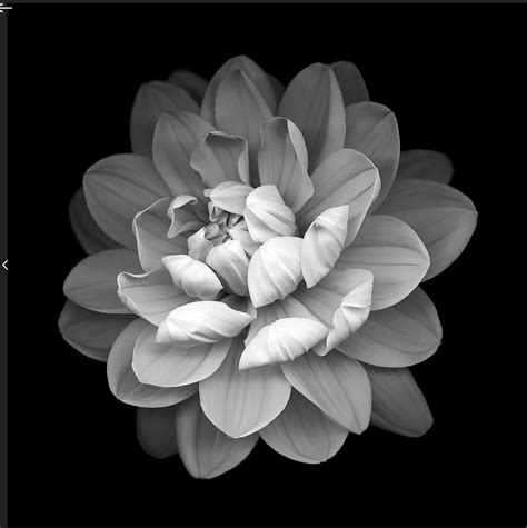 Image result for How to Convert a Bitmap to a 3D File