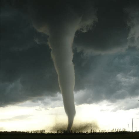 Article Usage Examples 的图像结果