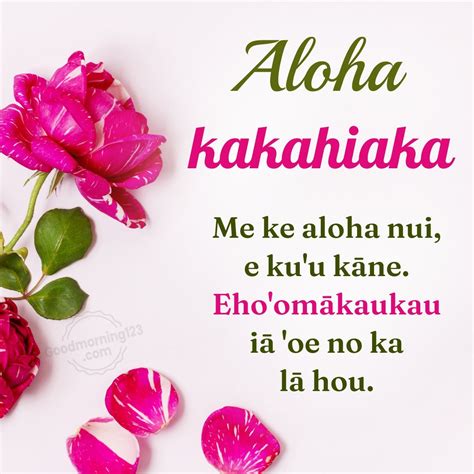 80+ Good Morning Wishes Images In Hawaiian With English Translation