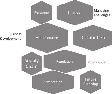 Business Development Challenges 的图像结果