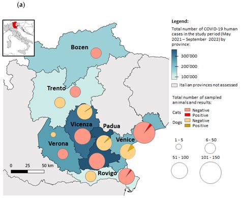 One-Year Surveillance of SARS-CoV-2 Exposure in Stray Cats and Kennel ...