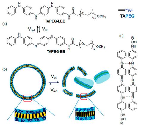 Electrically Conductive Materials: Opportunities and Challenges in ...