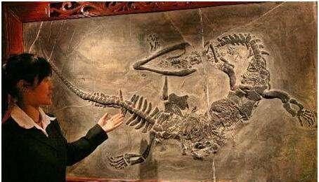 长江考古发现“巨龙”，长7米距今6000年，专家：龙曾经存在|龙|巨龙|中国龙_新浪新闻