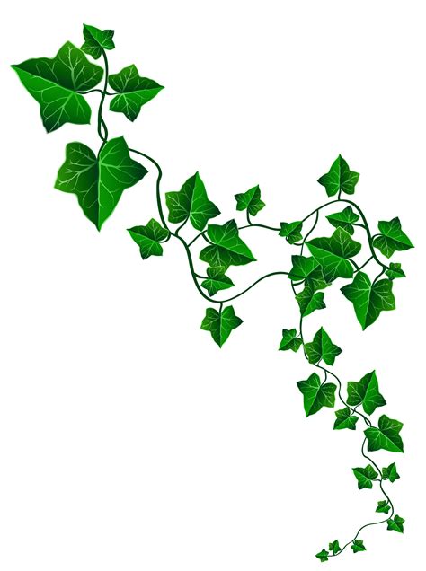 Free Vine Cliparts Transparent, Download Free Vine Cliparts Transparent ...