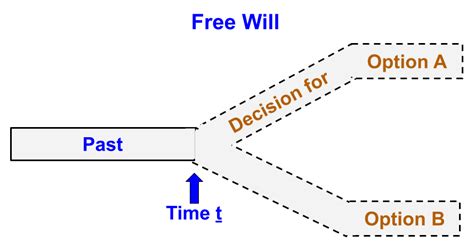 Free Will 的图像结果