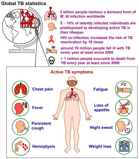 Tuberculosis: Pathogenesis, Current Treatment Regimens and New Drug Targets