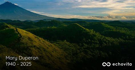 Mary Ann Duperon Obituary (1940-2025) | Traverse City, MI