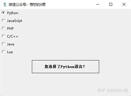 GUI MIT Python 的图像结果