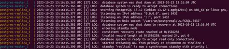 Image result for PostgreSQL Replication 13