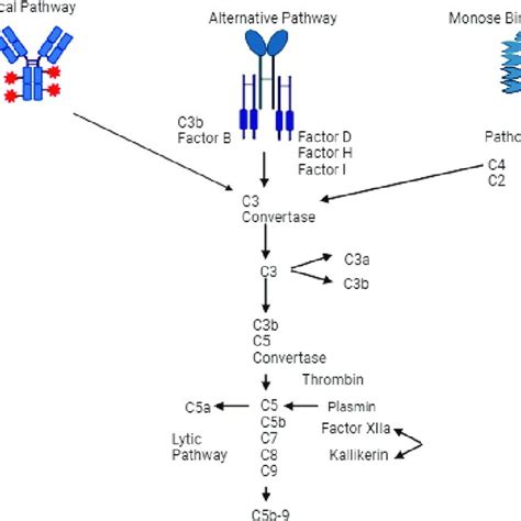 Image result for Complement Cascade Model