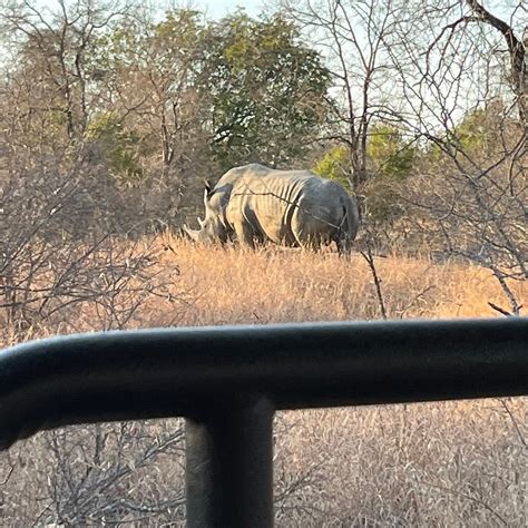 ELANDELA PRIVATE GAME RESERVE & LUXURY LODGES (Hoedspruit) - Specialty ...