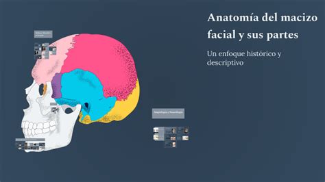Image result for Multiple Machine Learning Models