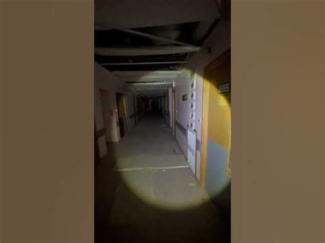 Image result for Alantutorial Seegore