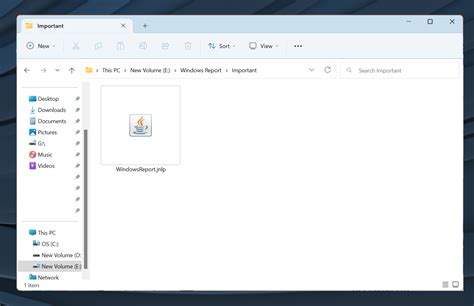 JNLP Tutorial 的图像结果