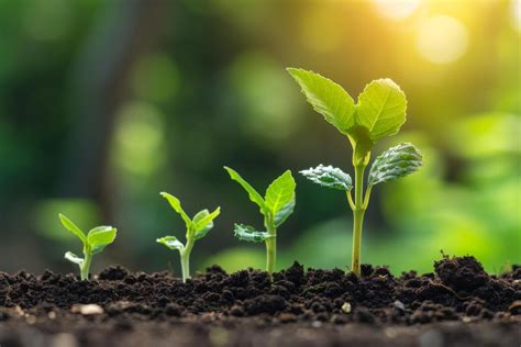 Image result for Plant 3D Python Script