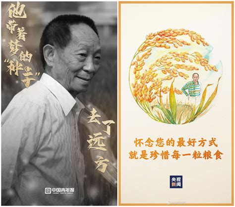袁隆平爷爷去世了。纪念“杂交水稻之父”、中国工程院院士、“共和国勋章” - 哔哩哔哩