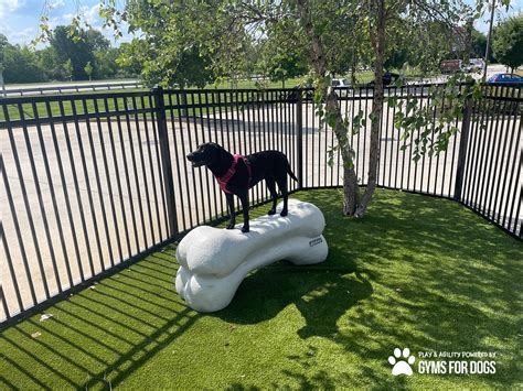 Fenced Dog Parks Seattle at Xavier Brill blog