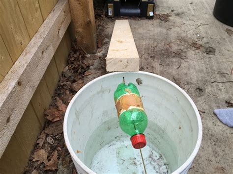 diy 5 gallon bucket mouse trap