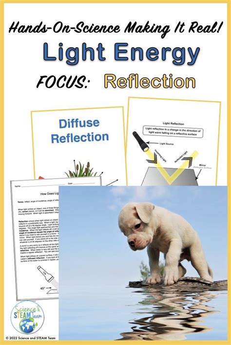 Light Reflection Activity 的图像结果