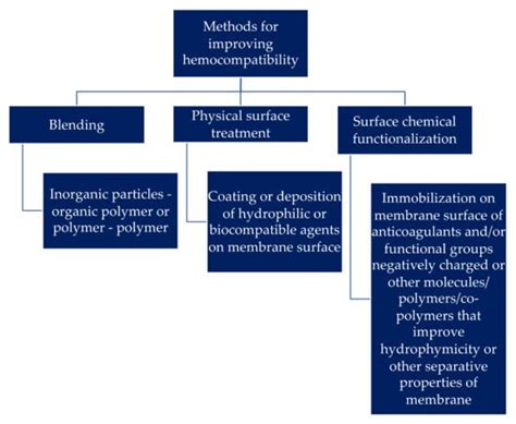 Functionalized Hemodialysis Polysulfone Membranes with Improved ...
